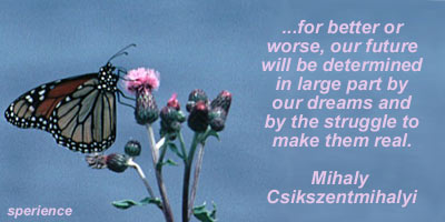 Mihaly Csikszentmihalyi's quote #3